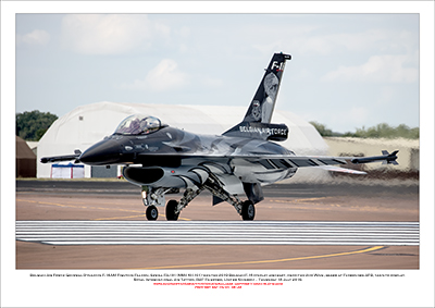 BEGIUM-FA-101 - Belgian Air Force General Dynamics F-16AM Fighting Falcon  (Msn 6H-101) - 03