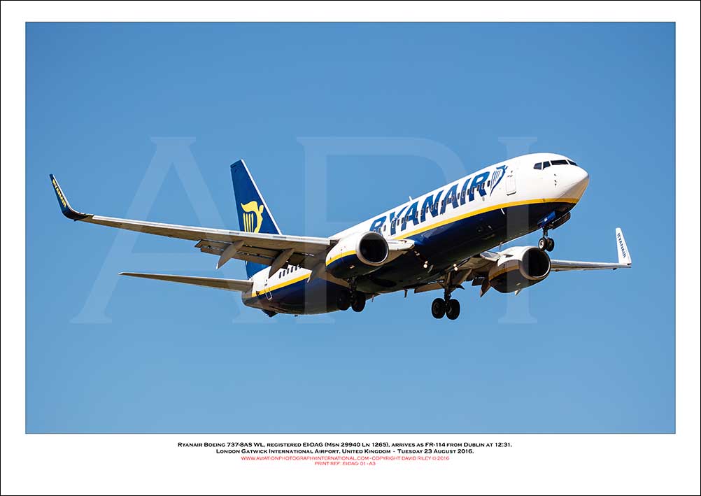 EI-DAG - Ryanair Boeing 737-8AS WL  (Msn 29940 Ln 1265) - 01
