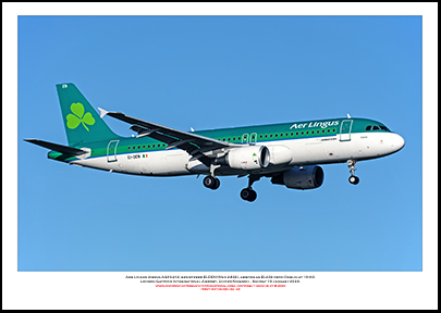EI-DEN - Aer Lingus  Airbus A320-214, (Msn 2432) - 02