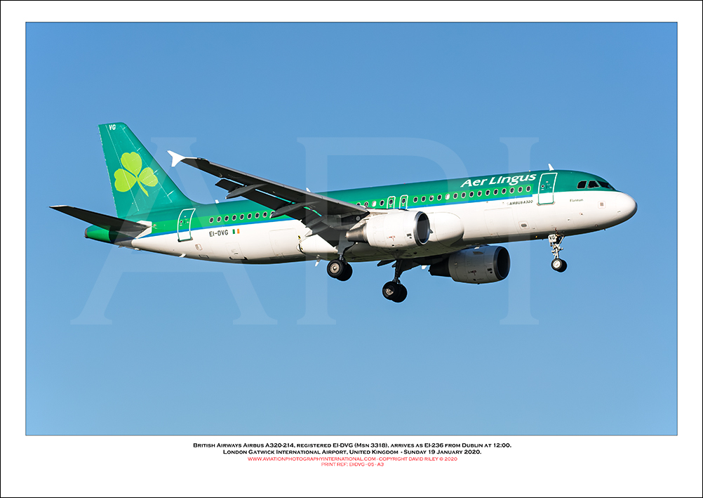 EI-DVG - Aer Lingus  Airbus A320-214, (Msn 3318) - 05