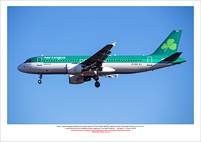 EI-DVH - Aer Lingus  Airbus A320-214, (Msn 3345) - 02