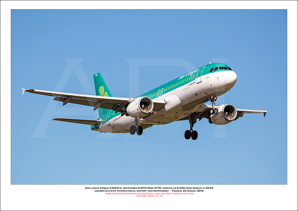 EI-DVN - Aer Lingus  Airbus A320-214, (Msn 4715) - 02