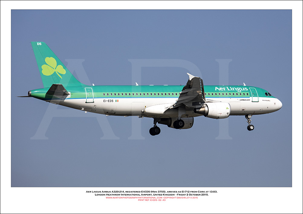 EI-EDS - Aer Lingus  Airbus A320-214, (Msn 3755) - 02