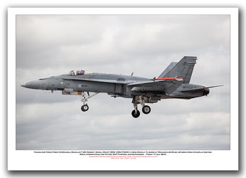 HN-411 - Finnish Air Force  McDonnell Douglas F-18C Hornet  (Msn 1355/FNC011) - 02