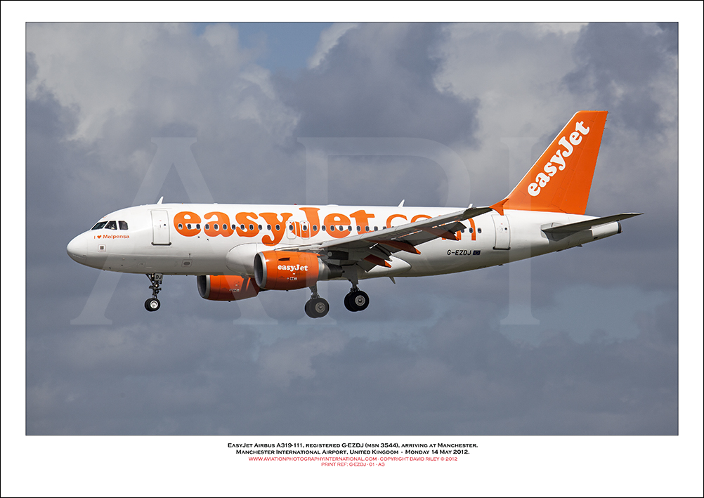 G-EZDJ - easyJet Airbus A319-111 (Msn 3544) - 01