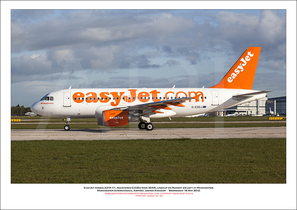 G-EZDJ - easyJet Airbus A319-111 (Msn 3544) - 03