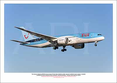 Boeing 787's