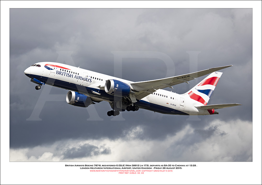 G-ZBJE - British Airways Boeing 787-8 Dreamliner (Msn  38612 Ln 173) - 02
