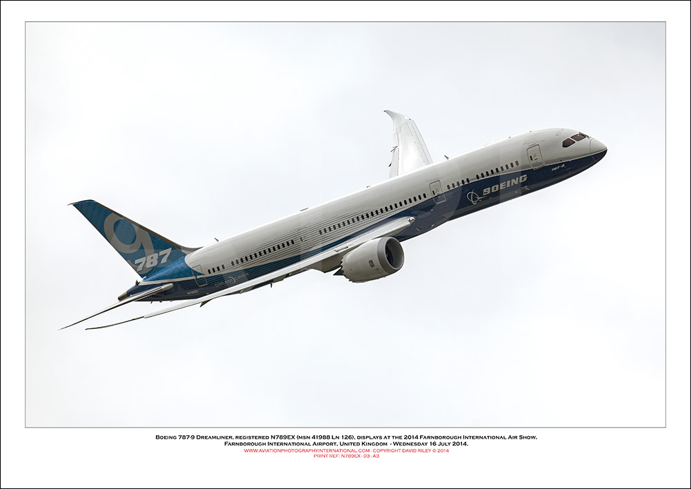 N787EX - Boeing 787-9 Dreamliner  (Msn 41988 Ln 126) - 03