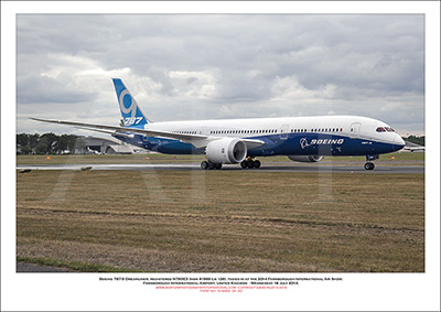 N787EX - Boeing 787-9 Dreamliner  (Msn 41988 Ln 126) - 04
