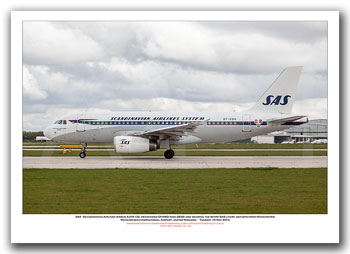 OY-KBO - SAS - Skandinavian Airlines Airbus A319-132  (Msn 2850) - 03