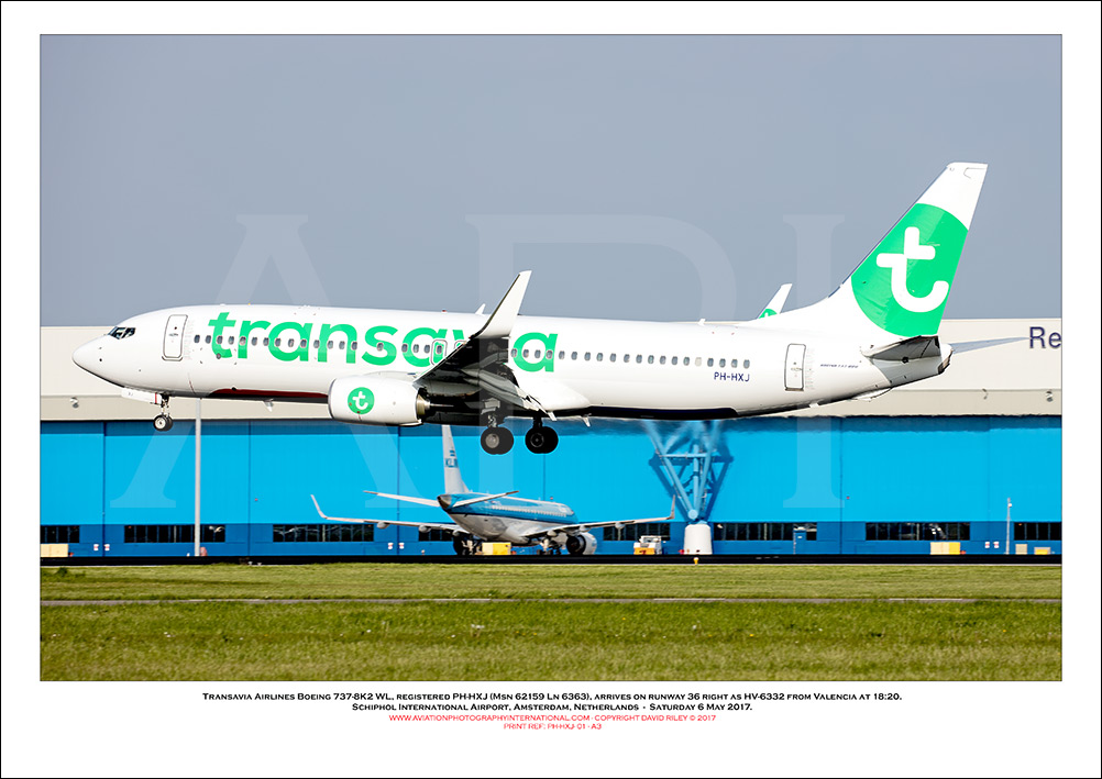 PH-HXJ - Transavia Airlines Boeing 737-8K2 WL  (Msn 62159 Ln 6363) - 01