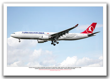 TC-JOM - Turkish Airlines Airbus A330-303 (Msn 1499) - 02