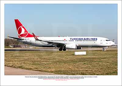 TC-JVO - Turkish Airlines Boeing 737-8F2 ER WL (Msn 60031 Ln 5867) - 02