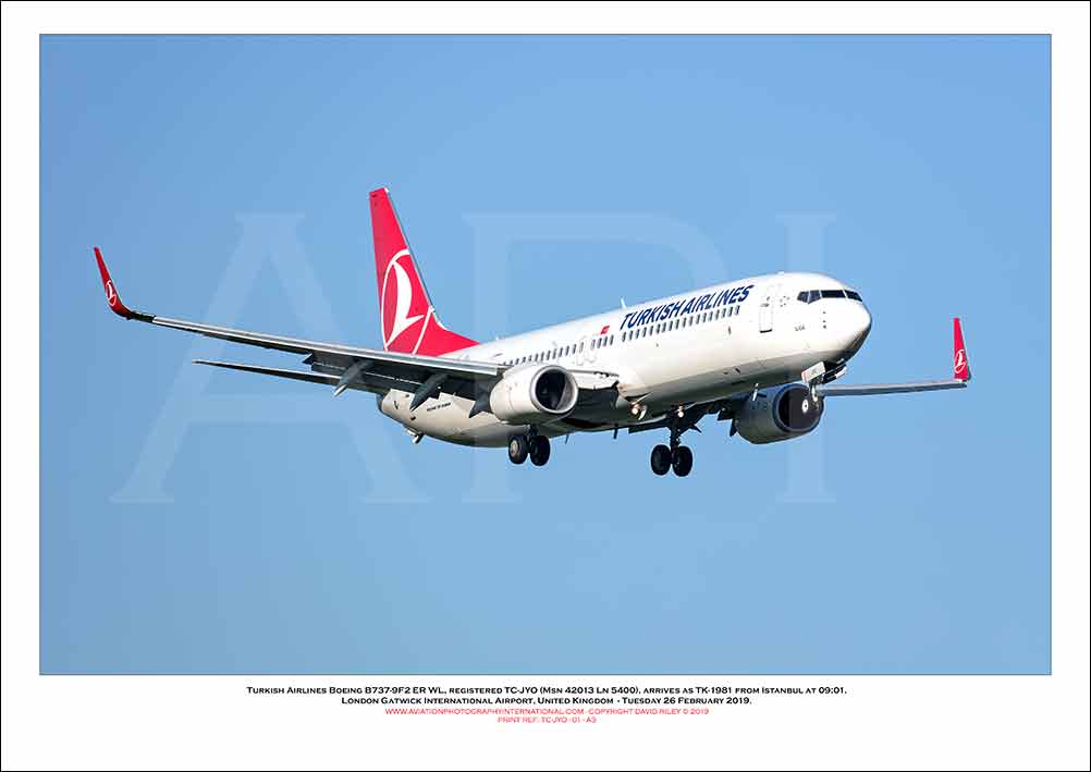 TC-JYO - Turkish Airlines Boeing 737-8F2 ER WL (Msn 42013 Ln 5400) - 01