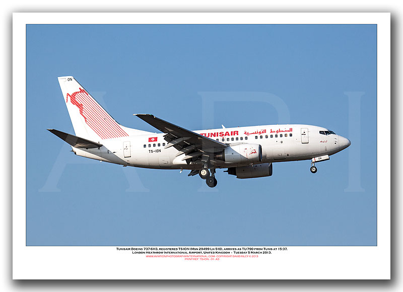 TS-ION - Tunisair Boeing 737-6H3  (Msn 29499 Ln 510) - 01