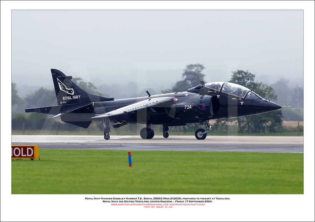 ZB603 - Royal Navy Hawker Siddeley Harrier T.8 (Msn 212035) - 01
